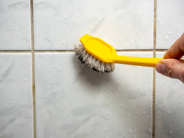 Best Health and Safety Mold Remediation in Linton Hall, VA