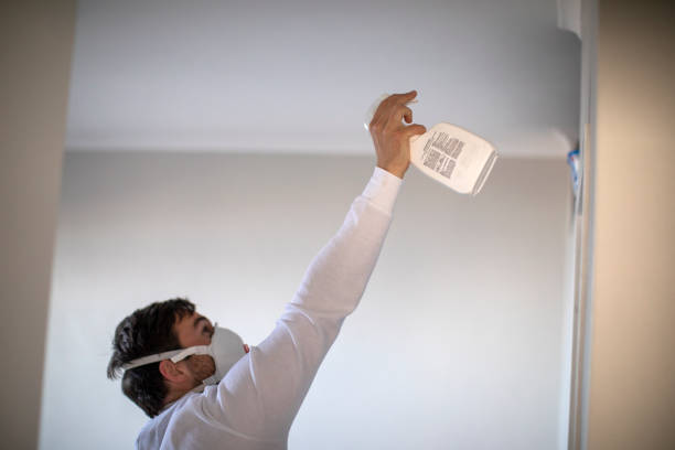 Best Post-Flood Mold Remediation in Linton Hall, VA
